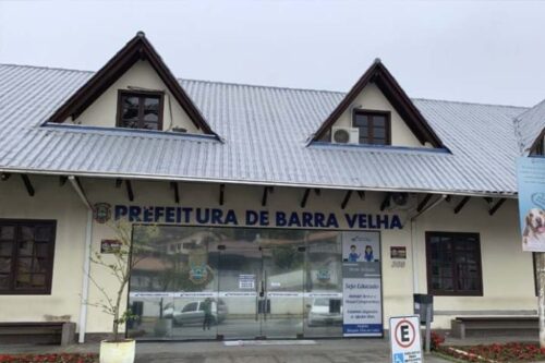 Figueira ameaça rede de esgoto e leva prefeitura a cortar árvore em Barra Velha