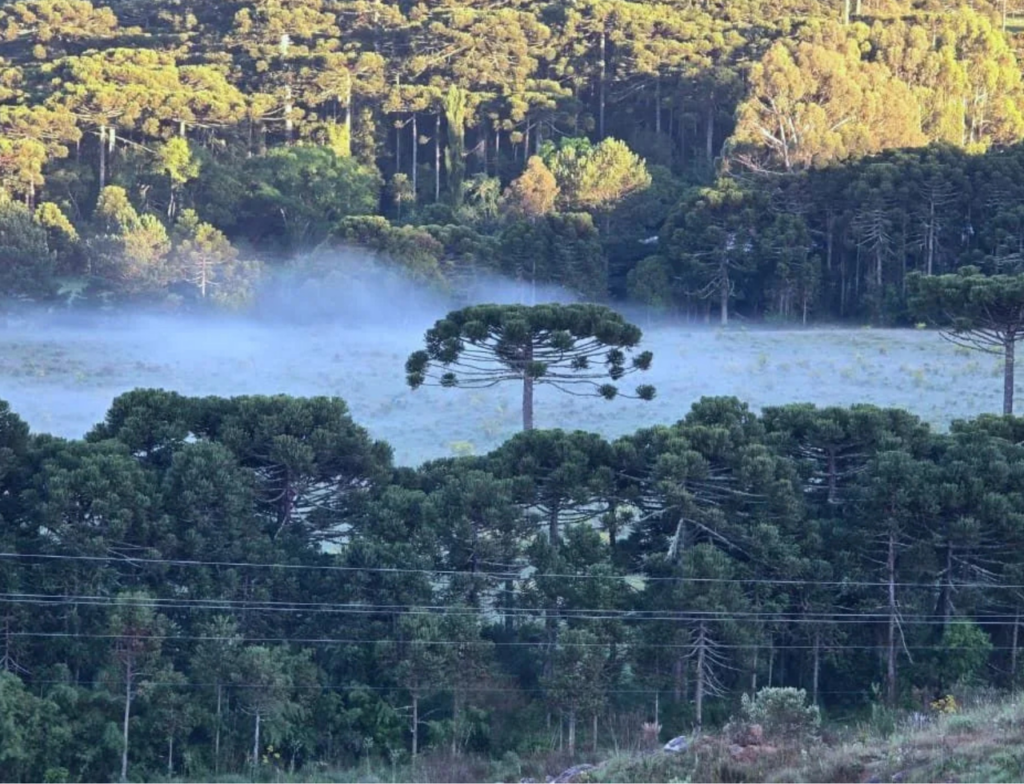 Frio ganha força em SC e mar fica agitado neste sábado