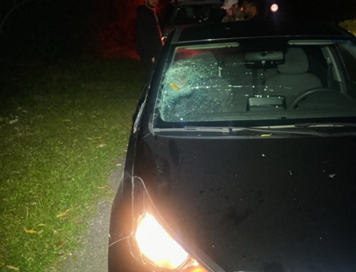 Homem é atropelado e sofre traumatismo craniano em SC-402