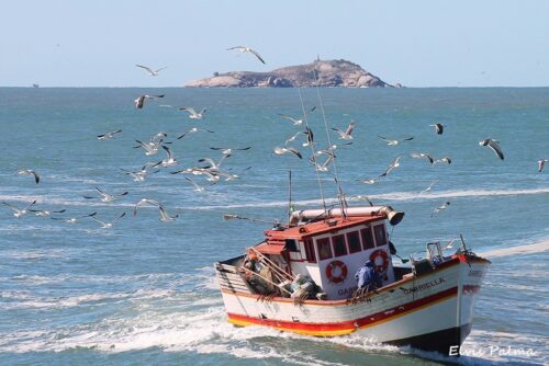 Laguna inicia vistorias para regularizar 16 embarcações da pesca artesanal