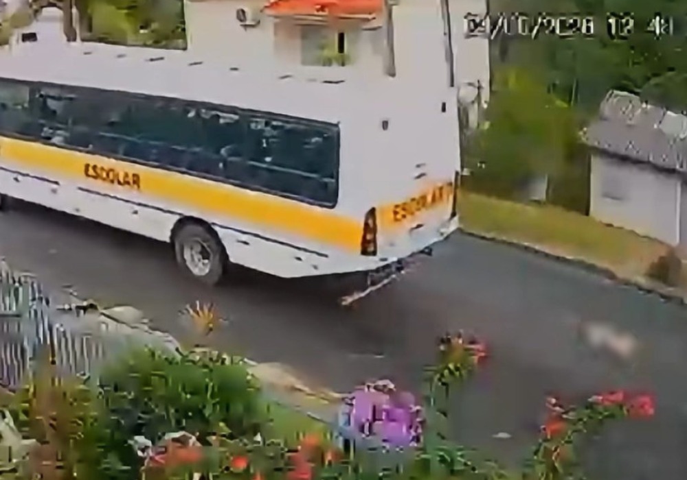 Motorista de ônibus é afastado após atropelamento de cachorro em cidade de SC