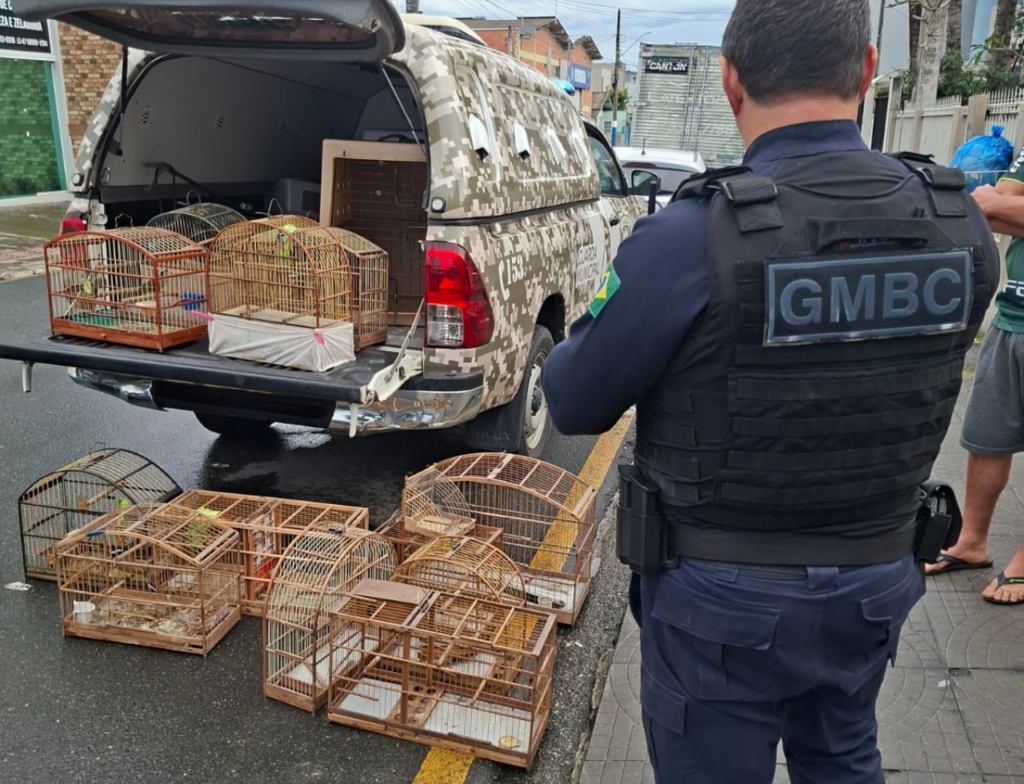 Oito aves silvestres são resgatadas de cativeiro em Balneário Camboriú