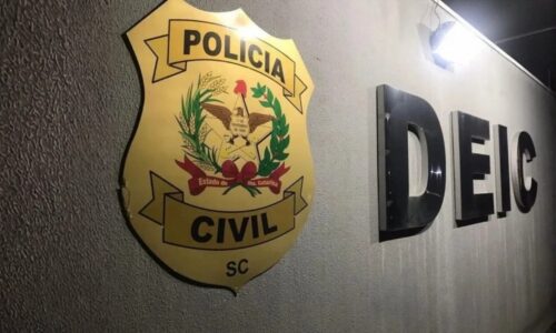 Operação flagra peças de carros roubados e empresário é preso novamente em SC
