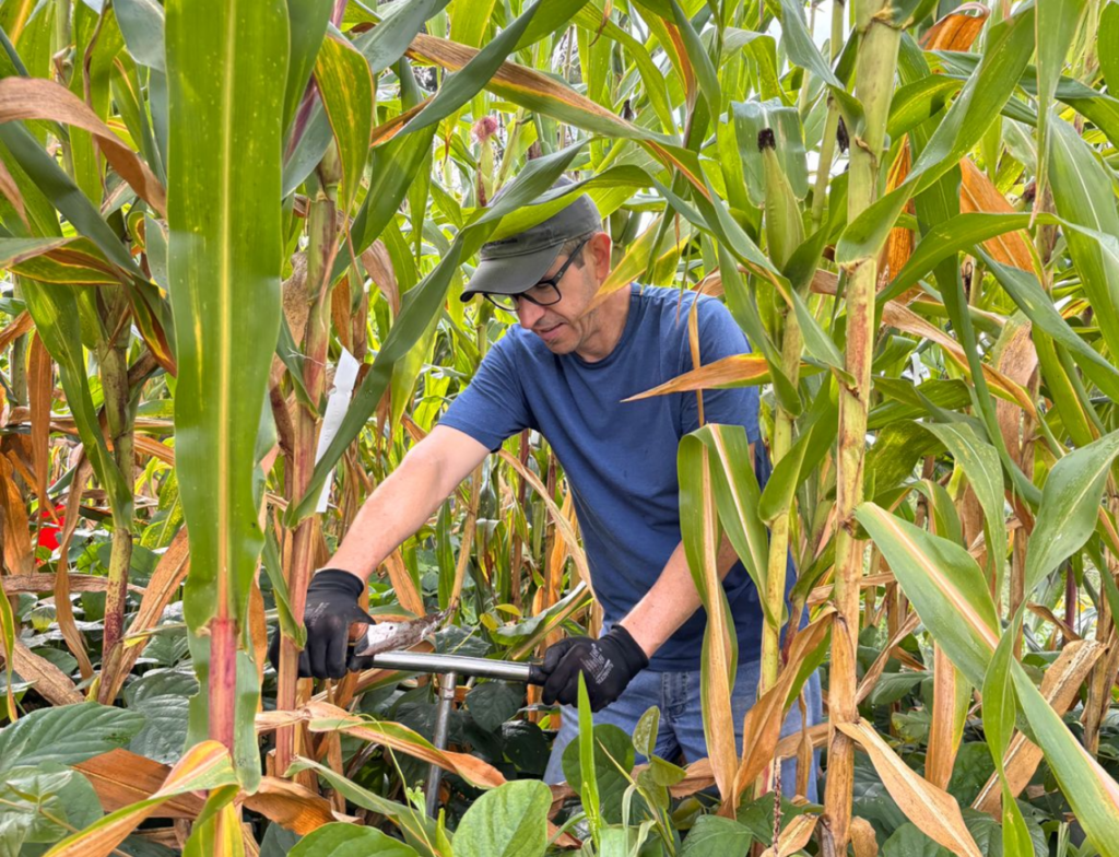 Pesquisa da UFSC usa IA para transformar dados da agricultura