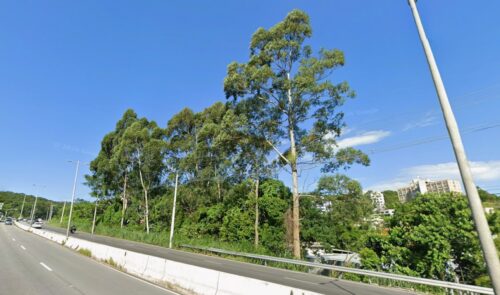 SC-401 terá bloqueio parcial em dois sábados; veja horários