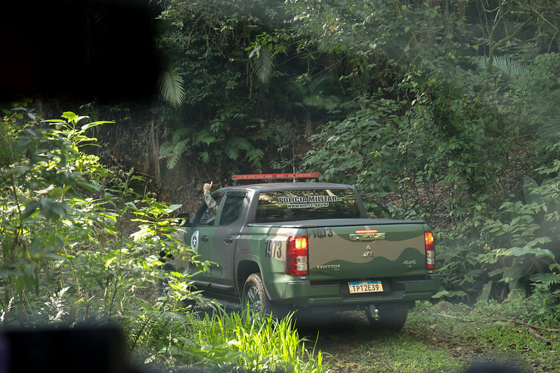 Santa Catarina autua mais de 380 hectares por desmatamento ilegal - Foto: Divulgação/MPSC