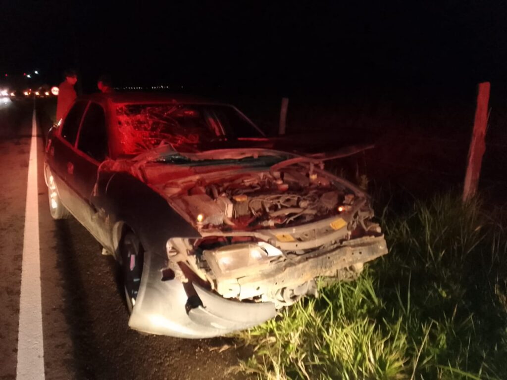 Carro bate em cavalo solto na SC-437, em Imaruí - Foto: Divulgação/CBMSC