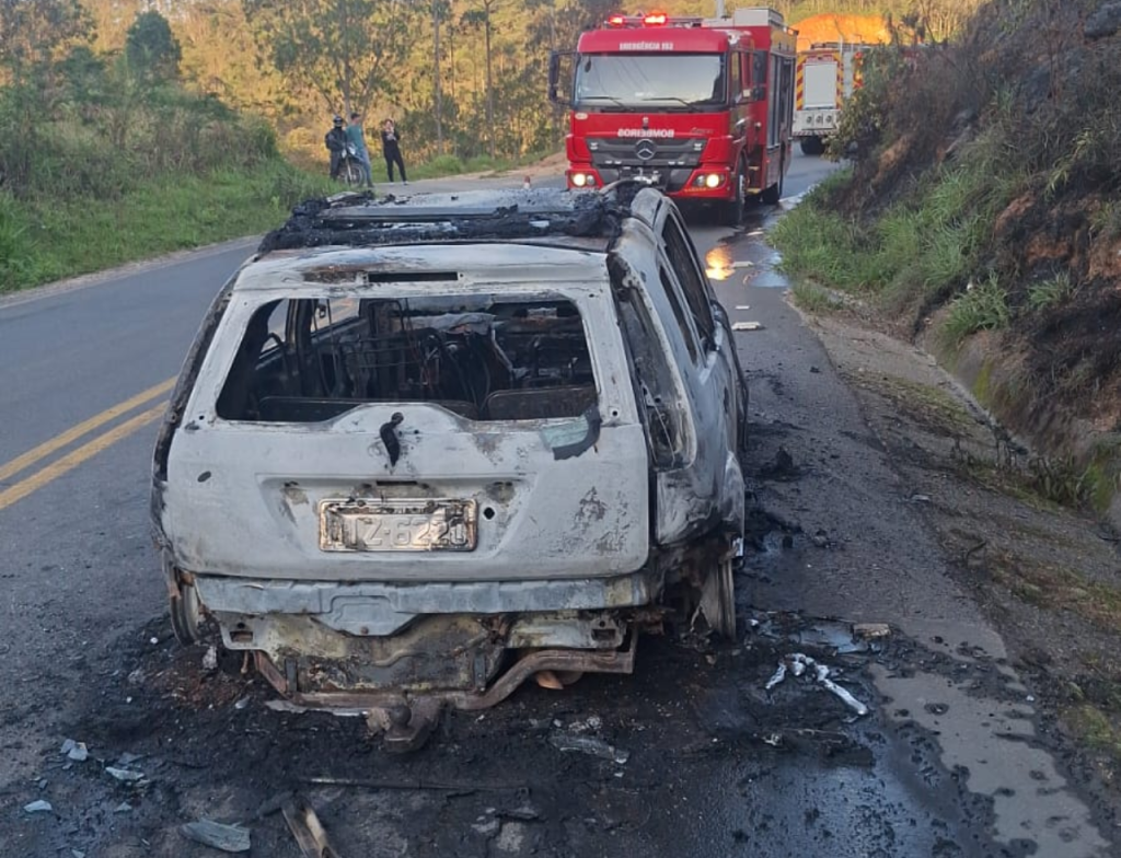 Carro é destruído por incêndio e fogo atinge vegetação em Santa Rosa de Lima - Foto: Divulgação/CBMSC