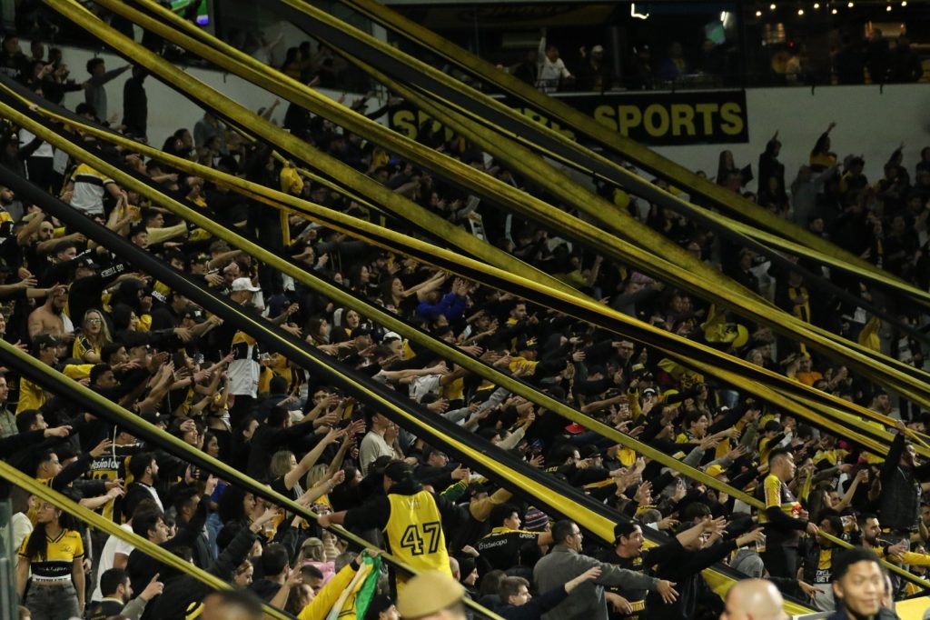 Criciúma x Operário: veja como está o Majestoso para o jogo - Foto: Celso da Luz/Criciúma E.C.
