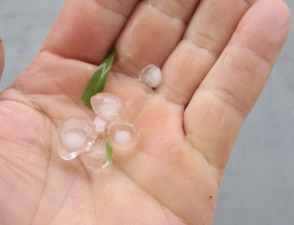 Granizo surpreende moradores e aumenta alerta de temporal em Florianópolis - Foto: Reprodução