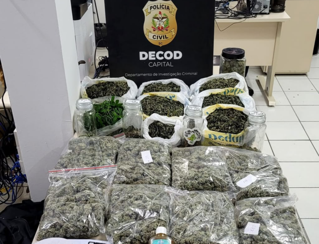 Homem é preso suspeito de usar cultivo medicinal para vender drogas em Florianópolis - Foto: Divulgação/PCSC