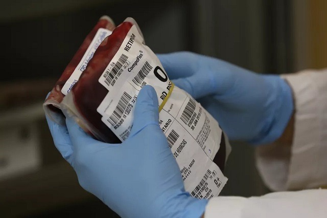 Içara terá coleta de sangue; veja como agendar a doação - Foto: Divulgação/Mauricio Vieira/Secom