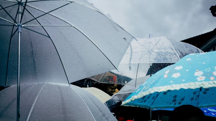 Joinville tem alerta para alagamentos com chuva forte e maré alta - Imagem: Magnific/Banco Gratuito