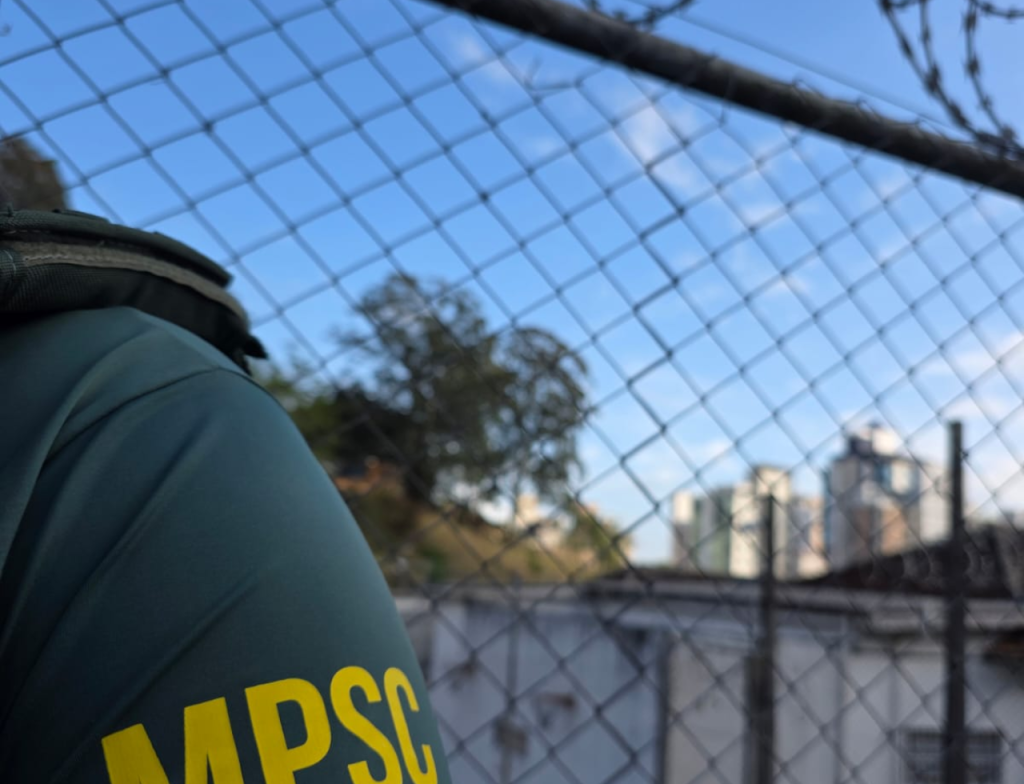 Operação apreende drogas, armas e celulares em Florianópolis - Foto: Divulgação/MPSC