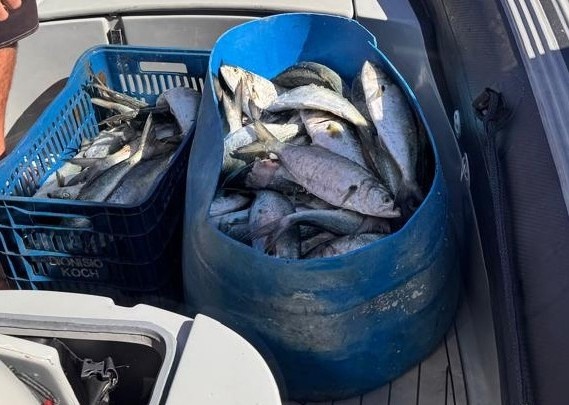 Pesca ilegal quatro são presos com 100 kg de pescado em SC - Foto: Divulgação/PF