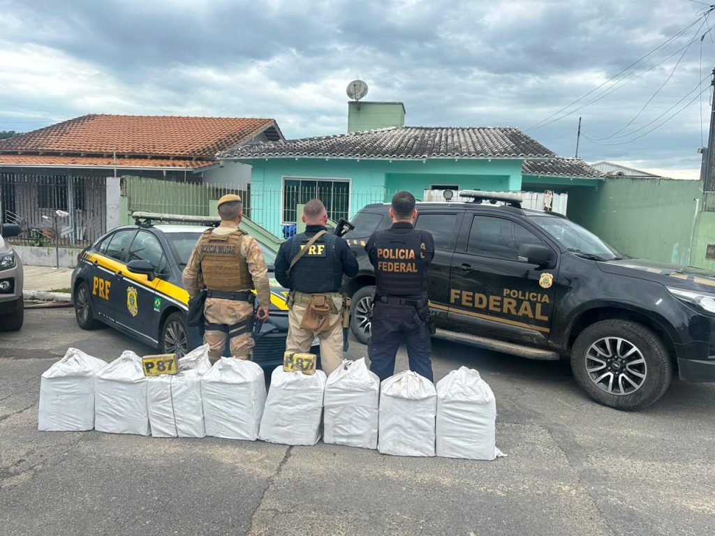 Mais de 230 quilos de cocaína são apreendidos em depósito subterrâneo em Itajaí. - Foto: Divulgação/PMSC
