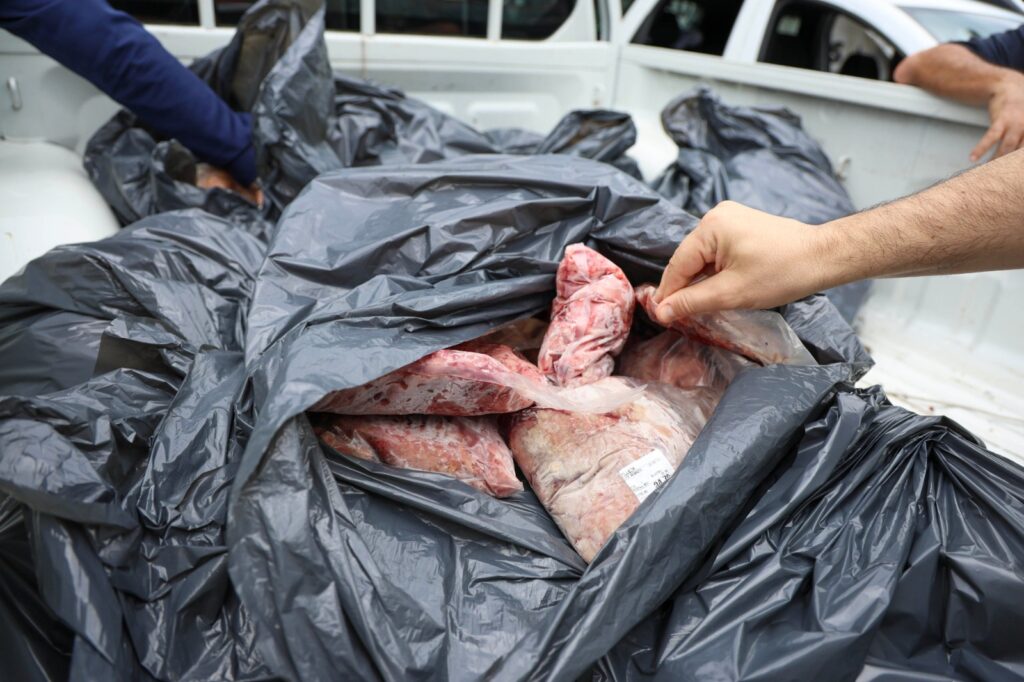 Açougue em Florianópolis tem 170 kg de alimentos apreendidos - Foto: Divulgação/MPSC