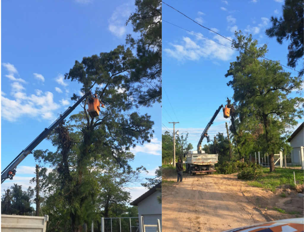 Araranguá inicia podas preventivas e serviços vão durar 30 dias - Foto: Divulgação/Prefeitura de Araranguá