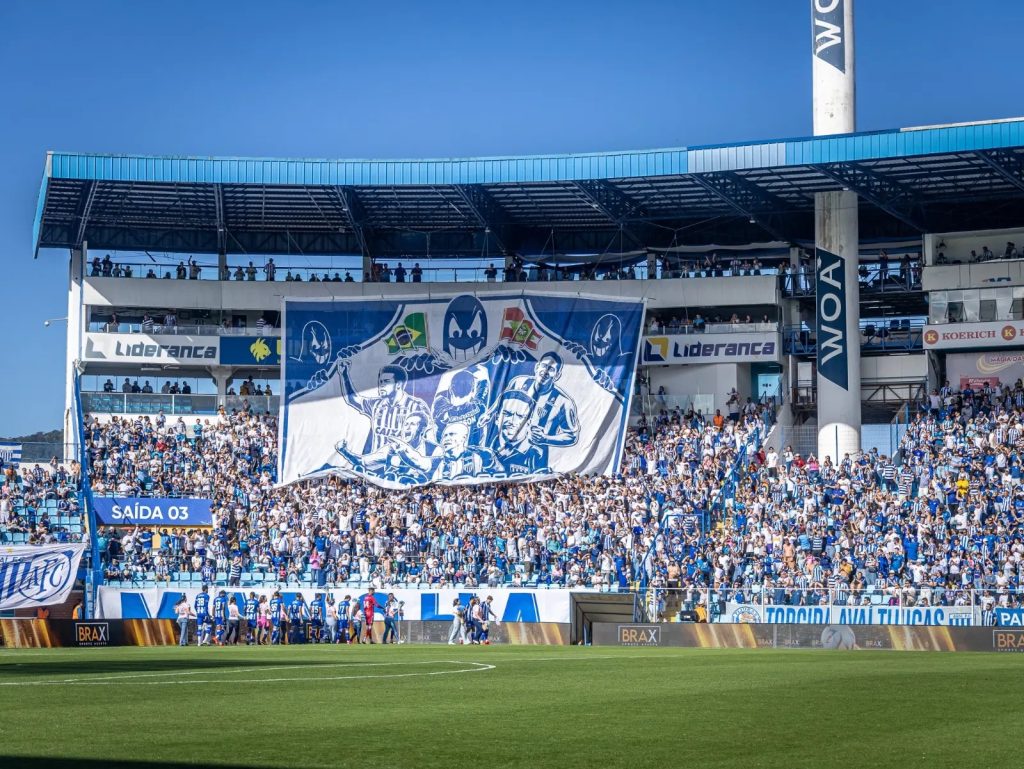 Avaí terá ingressos gratuitos contra o Botafogo-SP - Foto: Fabiano Rateke / Avaí F.C.