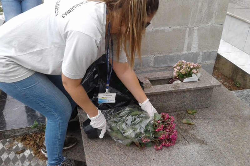 Dia de Finados: Itajaí faz alerta para evitar focos de dengue nos cemitérios - Foto: Divulgação/SMS Itajaí