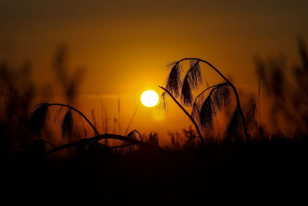 Fim de semana terá sol e calor em SC, mas temporais podem surpreender - Foto: Jonatã Rocha / SecomGOVSC