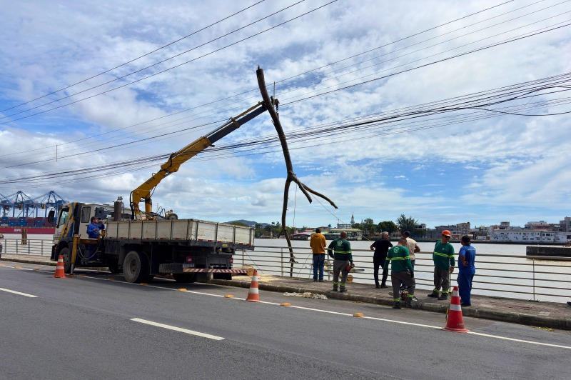 Itajaí retira troncos e entulhos do rio Itajaí-Açu após chuvas - Foto: Luiz Lerner/Prefeitura de Itajaí