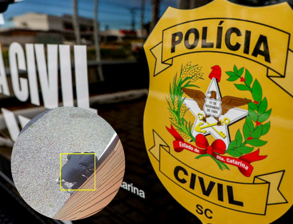 Mulher é investigada após vender móveis de imóvel alugado em SC - Foto: Divulgação/PCSC