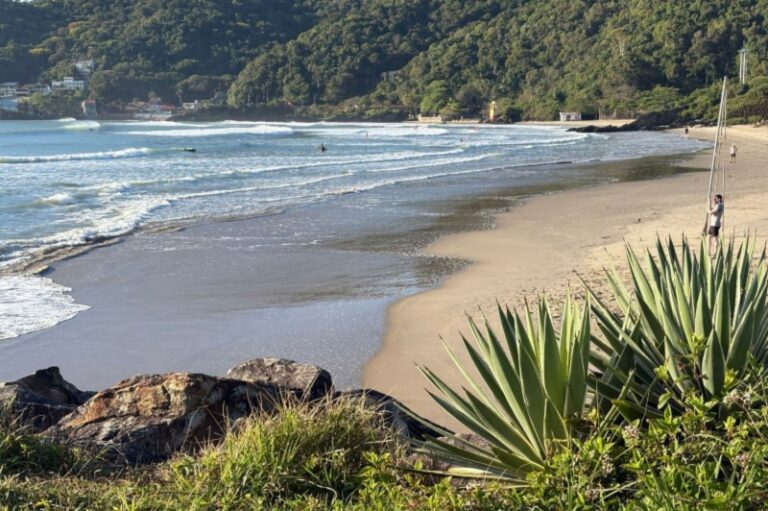 Praia dos Molhes do Atalaia recebe novamente a Bandeira Azul em Itajaí