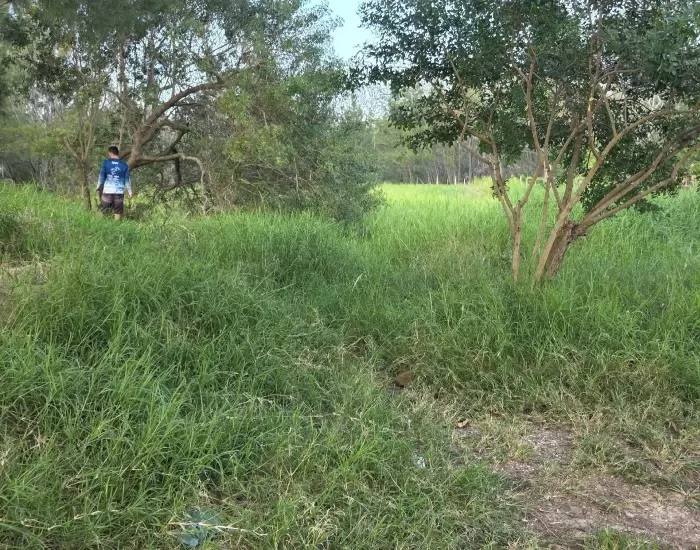 116187334balneario Camacho Associacao Voluntarios Mutirao 3
