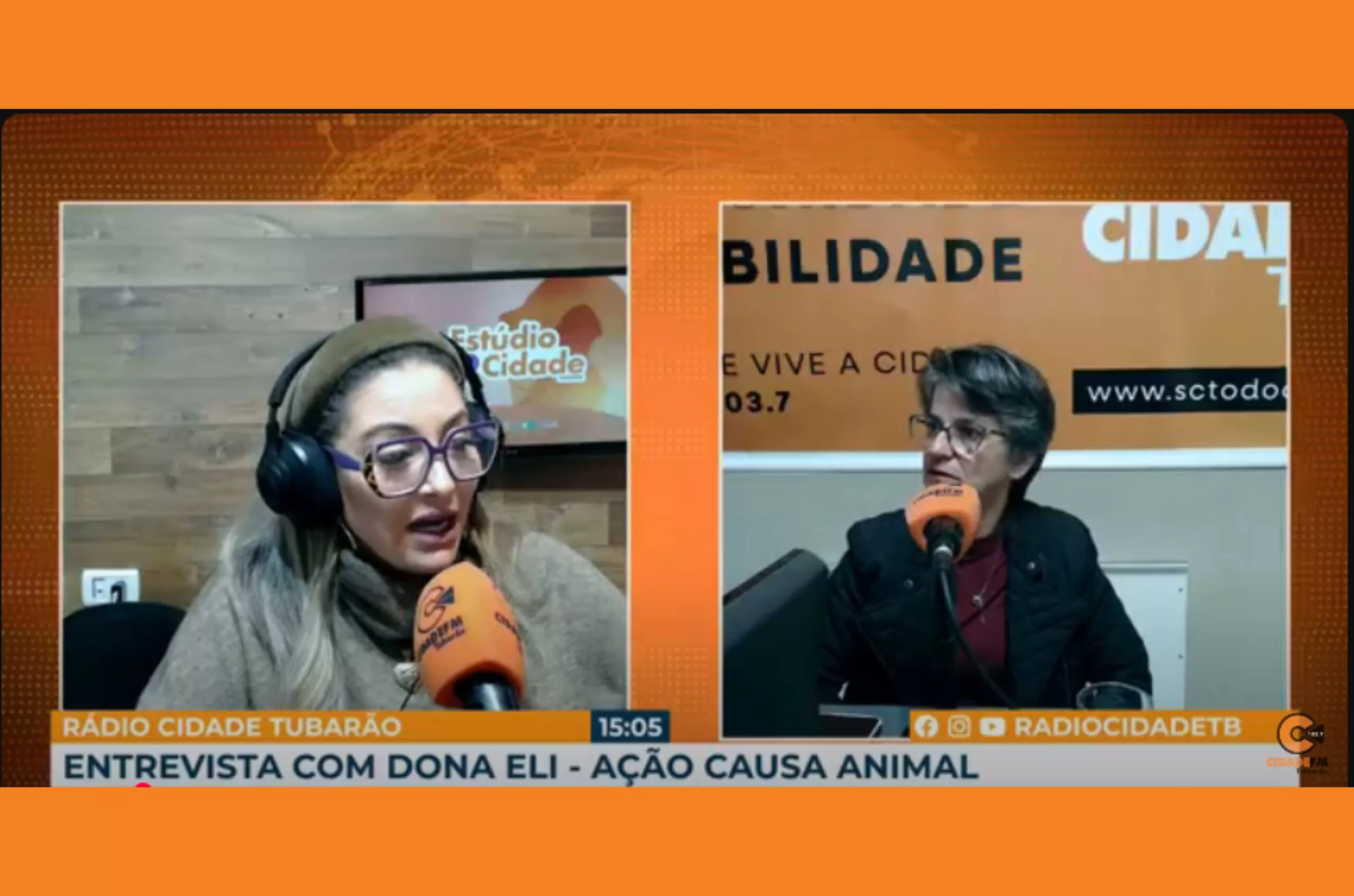 Protetora De Tubarao Tem 40 Dias Para Retirar 80 Caes Scaled