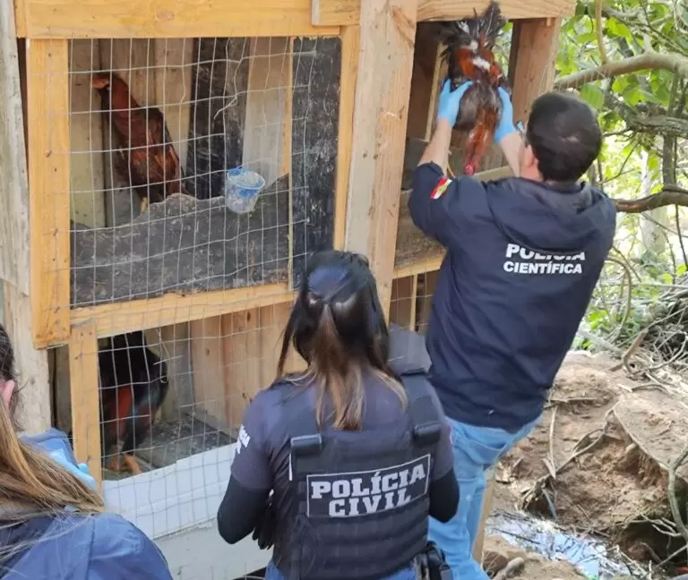 WhatsApp Image 2025 07 04 At 19.29.03 768x1023 1